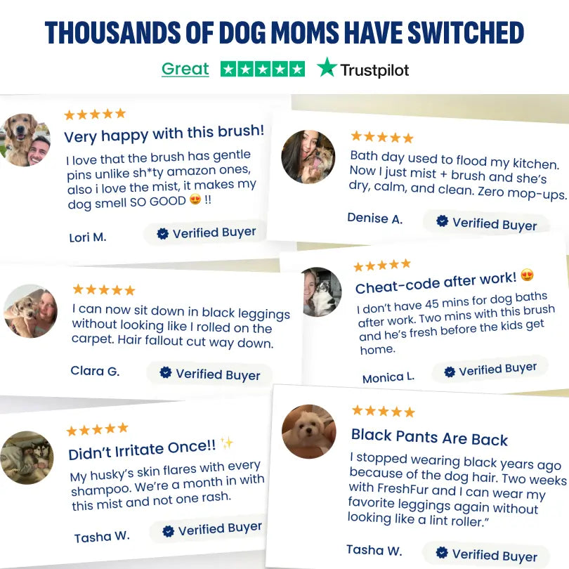 ReNu FreshFur Shower Brush + Bathing Solution